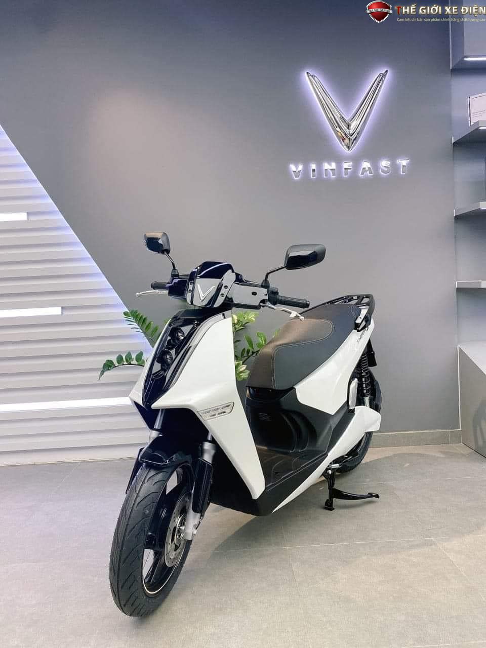 xe máy điện vinfast theon s